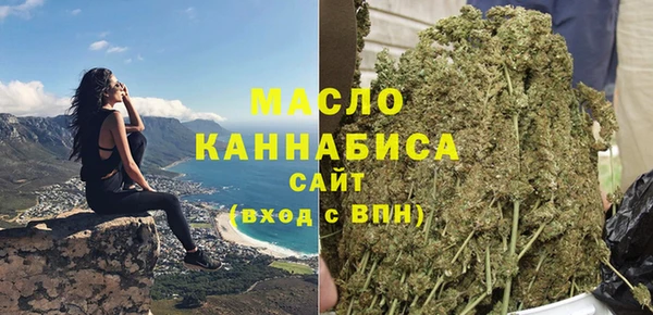 дмт Богданович