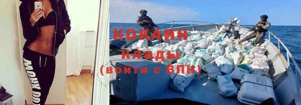 дмт Богданович