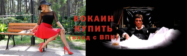дмт Богданович