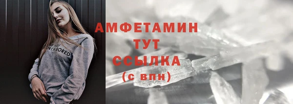 дмт Богданович