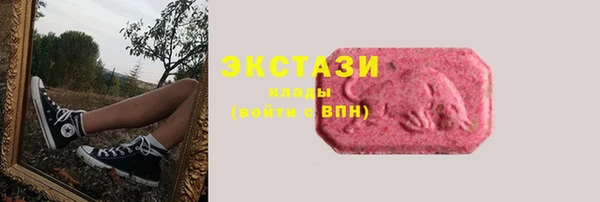 дмт Богданович