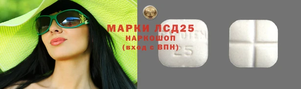 дмт Богданович