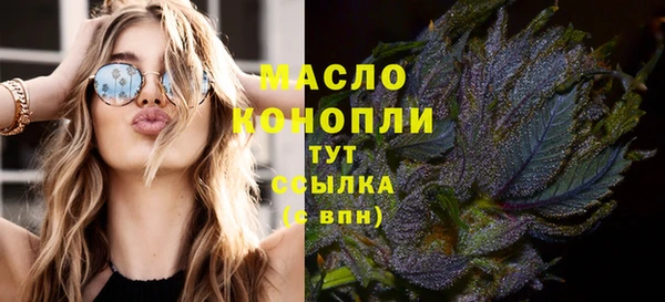 дмт Богданович