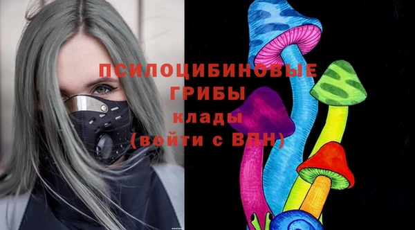 дмт Богданович