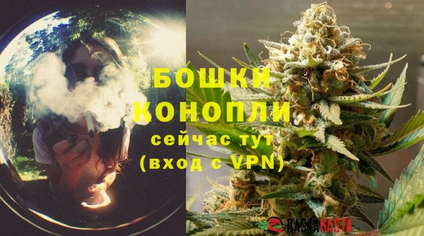 дмт Богданович