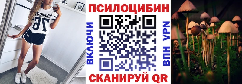 Псилоцибиновые грибы прущие грибы  Пятигорск 